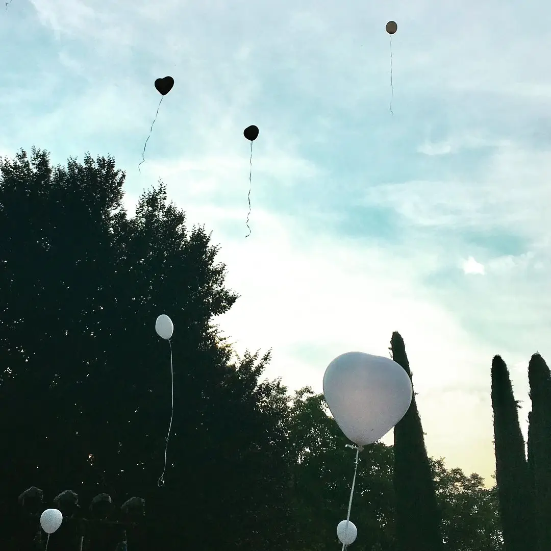 Festa in Cometa.