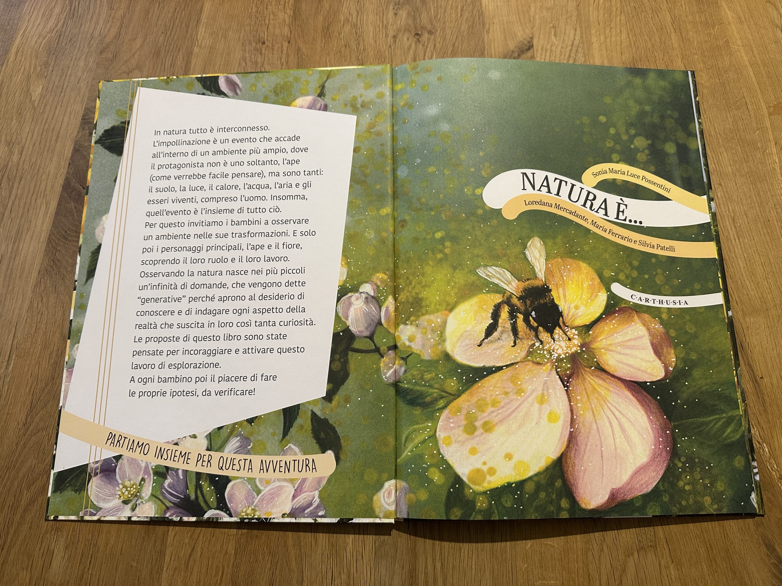 Natura è 2 Cometa - Natura è 1